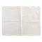 Small Pillowcase snow-white canvas 30